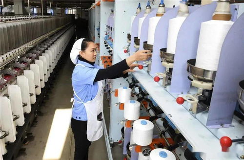 一曲 晚安 武川 振奮了 棉紡廠 成了最好的企業(yè)招工廣告